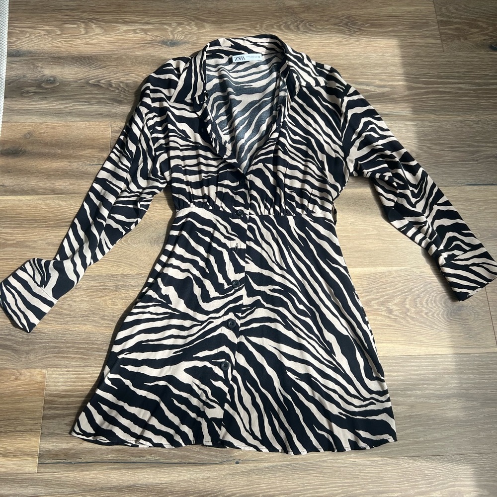 ZARA Dress